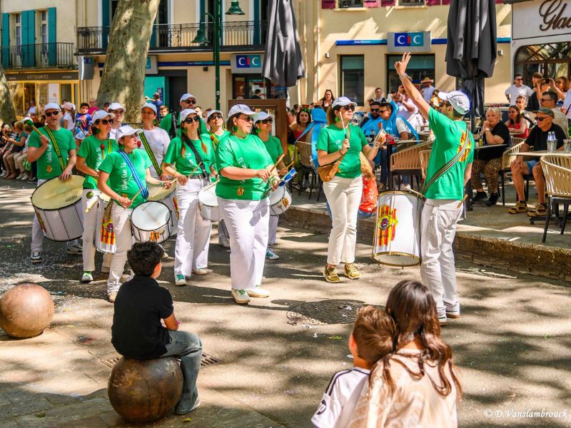 <div>sambistes au carnaval ceret</div>